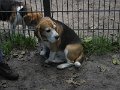 Afb_20160714 (17)